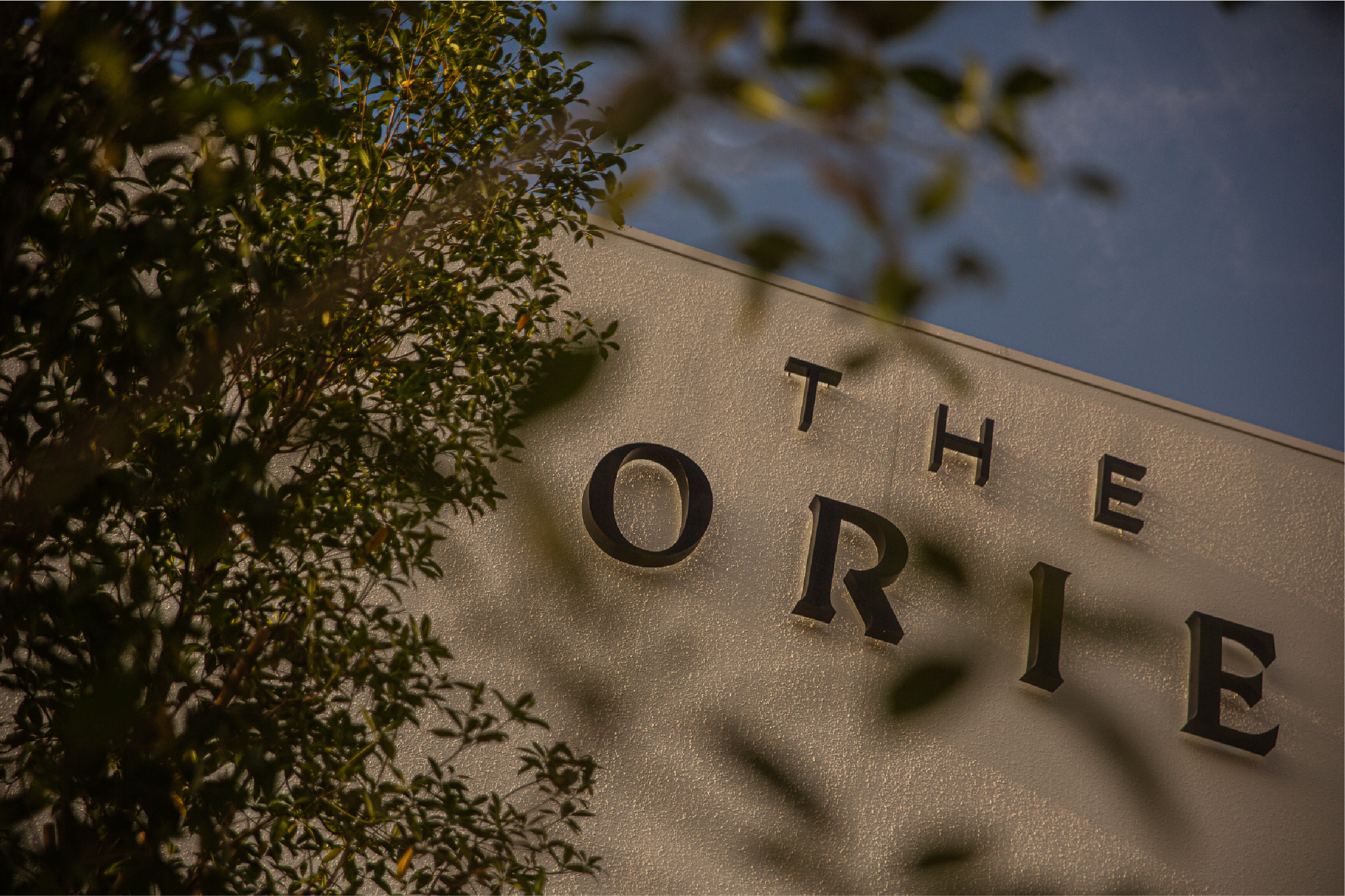 DESIGN PROJECTS ORIE-02